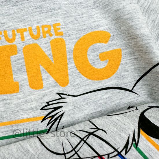 Комплект "Король лев" серый/красный