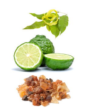 «Хоуп Тач» смесь эфирных масел, doTERRA Hope Touch, роллер 10 мл