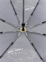 Зонт Fabretti UFLR5-7