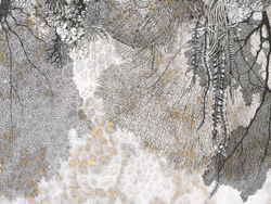 Коллекция WAVES