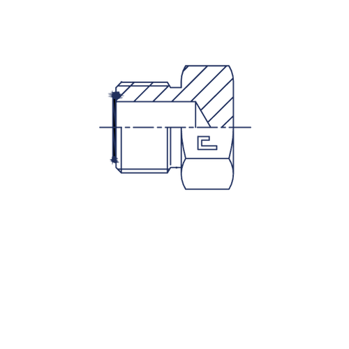 Заглушка V (Ш) ORFS 1.7/16