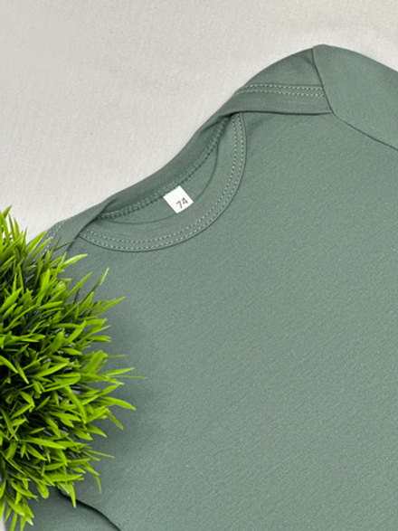 Футболка с длинным рукавом Полынь