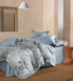 Постельное белье 2 спальное евро Asabella 2092-6