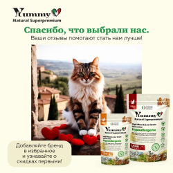 Yummy Linea корм для котят, беременных и кормящих кошек, ягненок, 2 кг