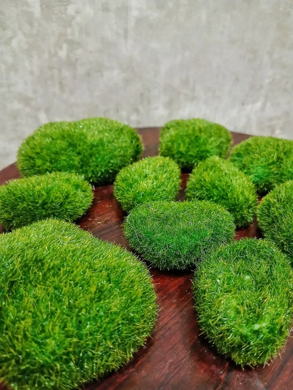 Декоративные камни из мха