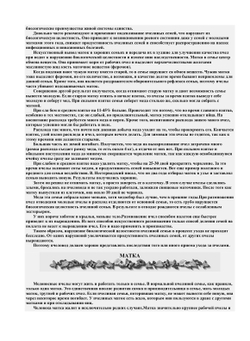 Уход за пчелами в Сибири | В.Г. Кашковский