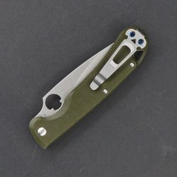 Нож складной Daggerr Sting Olive SW D2