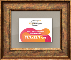 Рамка 17,7x23,7 для постера и фотографий