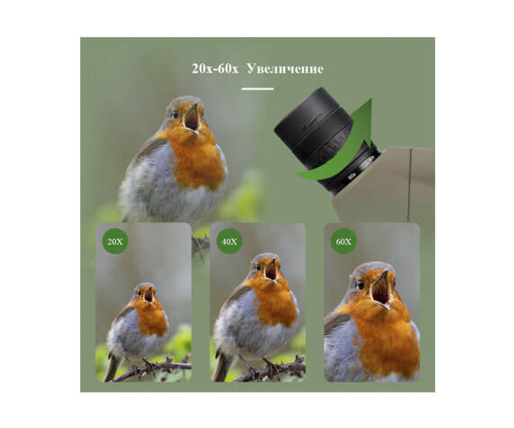 Зрительная труба SVBONY SV401 20–60x80 WP со штативом - фото 4