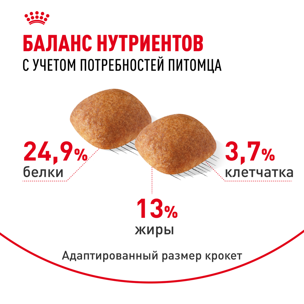 Royal Canin Golden Retriever Голден (золотой) Ретривер Эдалт Корм сухой для взрослых собак породы Голден Ретривер 3кг