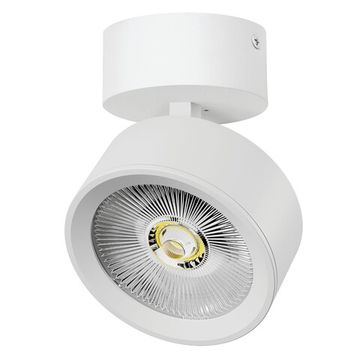 Светильник встраиваемый LED с накладной чашей 30W 3000K A5636SO белый Alta Pro Lightstar