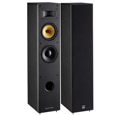 Напольная акустика Davis Acoustics Mani MK2