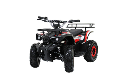 Электроквадроцикл IKINGI K6