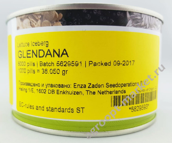Глендана семена салата айсберг (Enza Zaden / Энза Заден) – фото 2