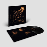 Royal Blood / Back To The Water Below (LP)