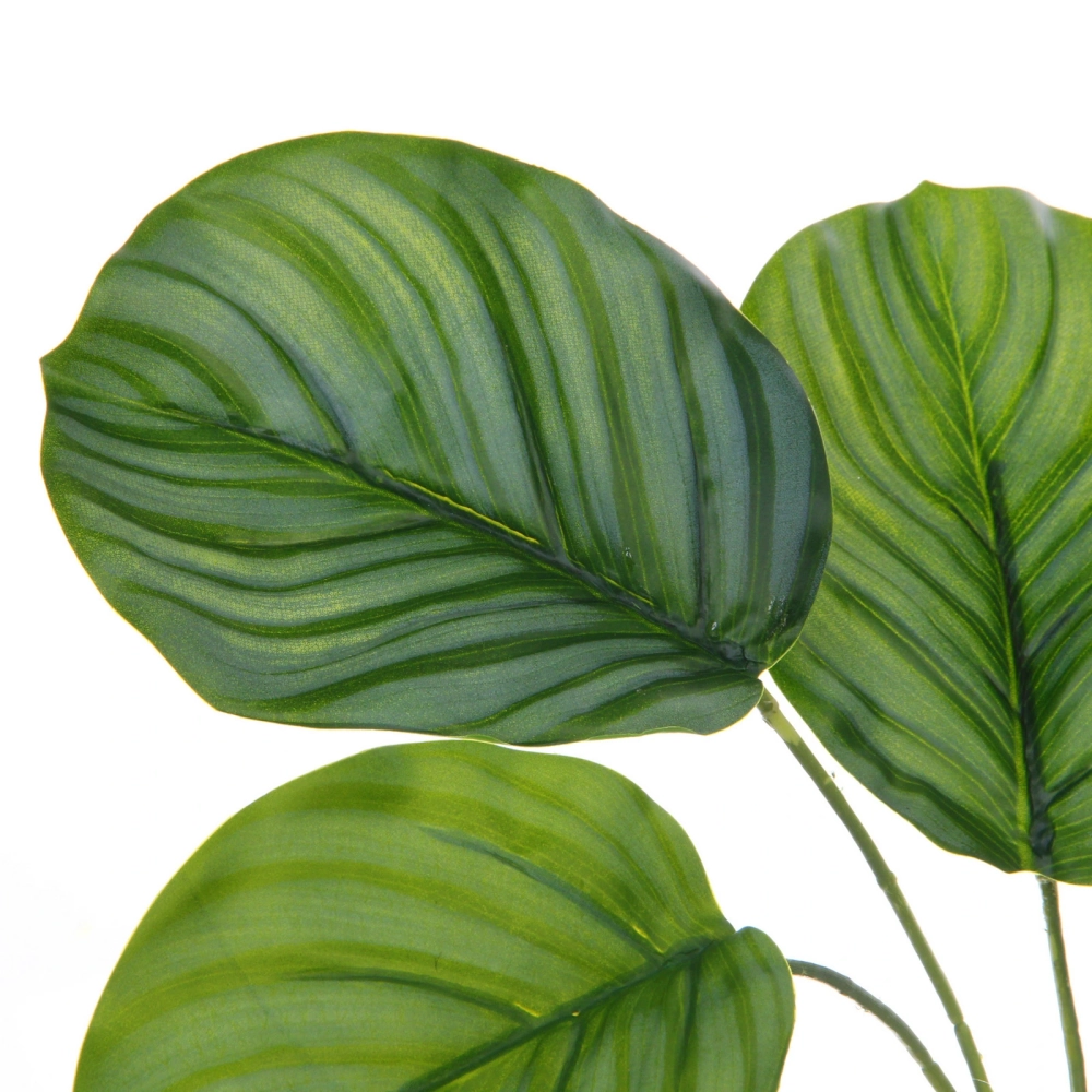 Цветок искусственный в горшке «Калатея» 28см