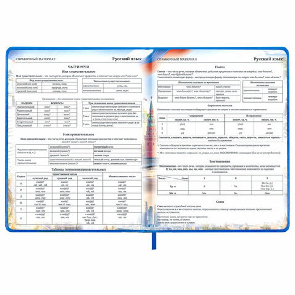 Дневник 1-11 класс 48 л., кожзам (твердая с поролоном), печать, цветной блок, BRAUBERG, "Символика", 106955