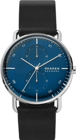 Мужские наручные часы Skagen SKW6702