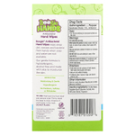 Boogie Wipes, Antibacterial Hand Wipes, Alcohol Free, 3 Packs, 20 Wipes Each
