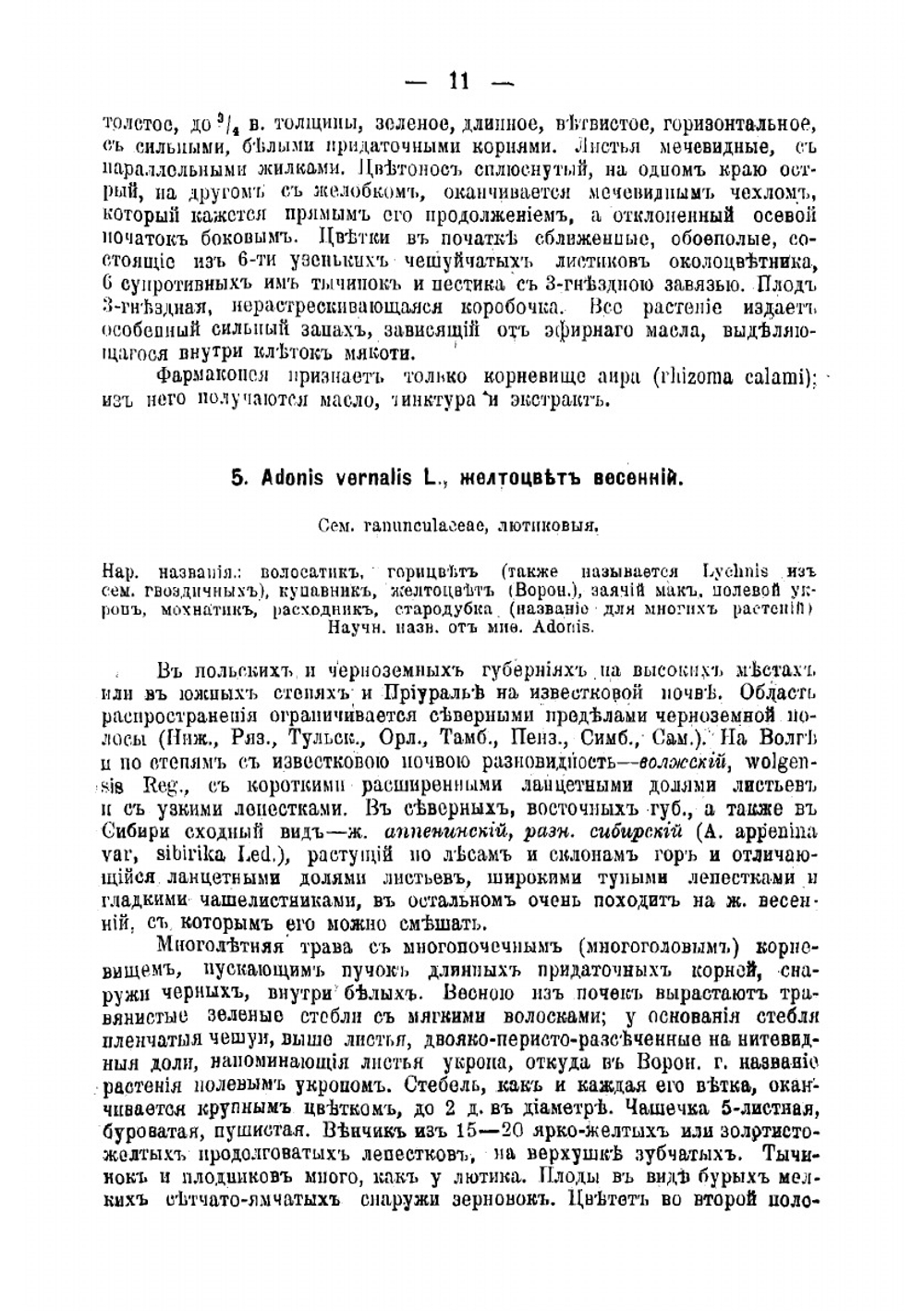 Русские лекарственные растения. Том 1 | Рытов Михаил Васильевич
