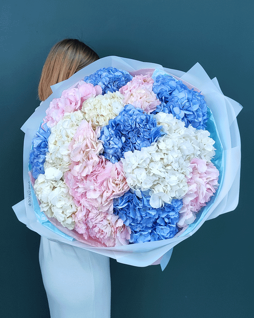 Букет гигант из гортензии,15шт(00448)