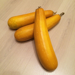 ЯСМИН F1 семена кабачка (Sakata | Alexagro)