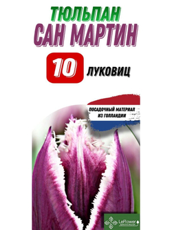 Тюльпан Луковица, Сан Мартин, 10шт