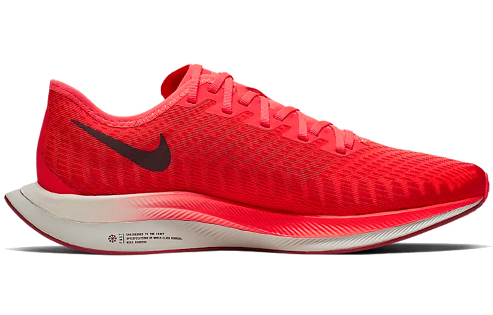 Кроссовки Nike Pegasus Turbo 2