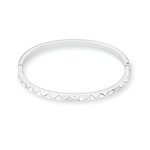 Браслет Coeur de Lion Silver 0135/32-1700 21