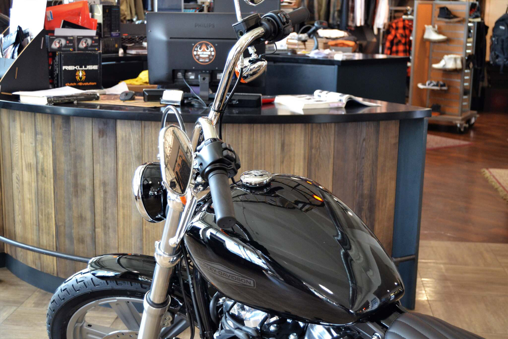 Мотоцикл Harley-Davidson Softail Standard 2022