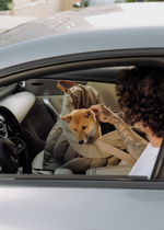 Комплект: Автокресло бежевое + чехол облегченный