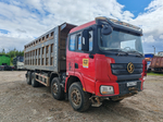 Shacman (Shaanxi) SX* 8x4 Самосвал SX33186V366 (Дизельный, 11,6 л, 423 л.с., МТ)