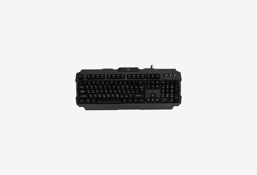 Aceline GS Tusk_0226522101642