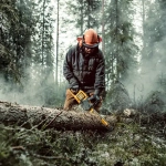 DeWalt FLEXVOLT DCM575X1 аккумуляторная цепная пила (1 x 3 Ач, ЗУ) DCM575X1-QW