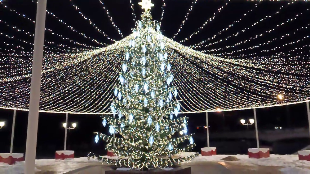 Светодинамическая елка ствольная со скамейкой, встроенная гирлянда: Холодный свет - "Лесная" (Литая хвоя) 6 м