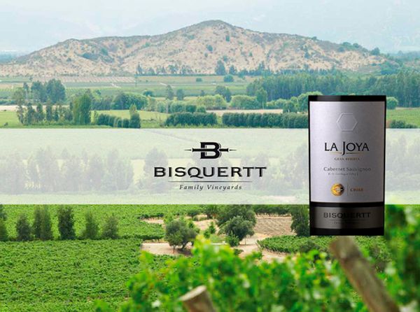 Вино недели с 18 июня - Bisquertt La Joya Cabernet Sauvignon 2017