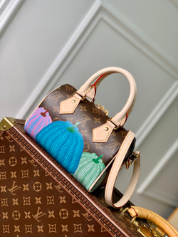 Louis Vuitton Speedy 20