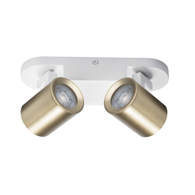 Настенный и потолочный светильник LAURIN EL-2I WG