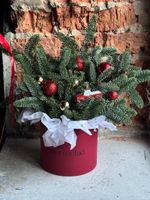 Коробка из нобилиса