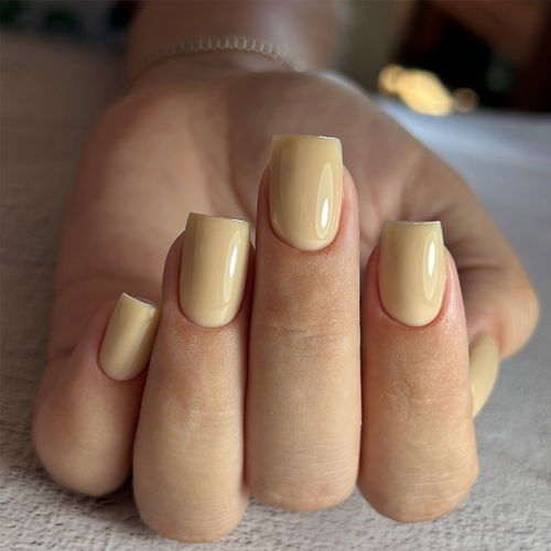 BSG Confiture Жёсткий гель №27, 13 гр