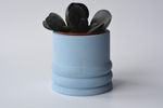 Кашпо для цветов Pilea (под d5)