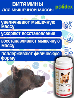 Polidex Protevit Plus для собак, Кормовая добавка для увеличения мышечной массы, Полидек Протевит Плюс, 150 таб