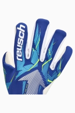 Вратарские перчатки Reusch Attrakt Infinity Evolution NC - синий