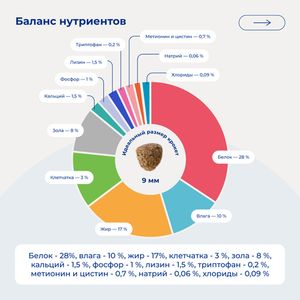Сухой корм Jarvi для взрослых собак мелких пород, говядина