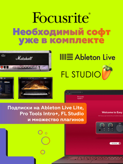 Внешняя звуковая карта Focusrite Scarlett 2i2 4th Gen