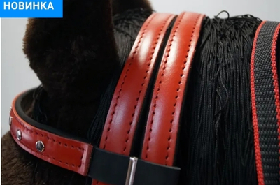 Узда кожаная комфорт (с регулировкой размера)