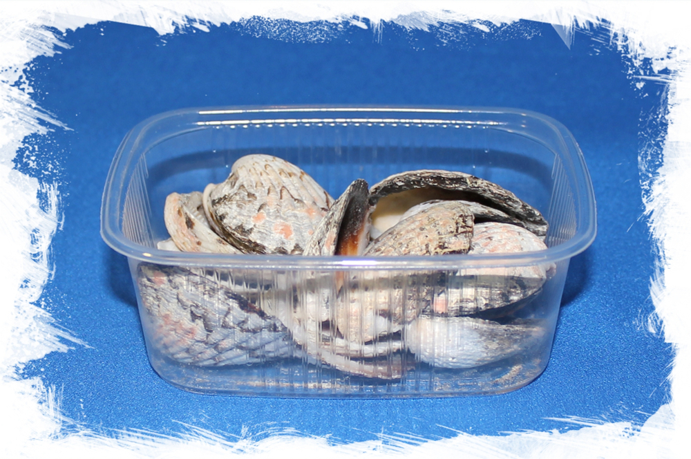 Каракол Пинта, 3-5см, 100гр, 11шт