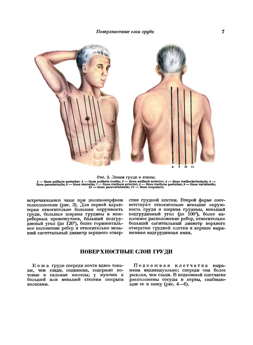 Атлас топографической анатомии человека. Том 2. Грудь, живот, таз | Ю.Л. Золотко