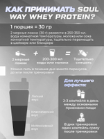 3 банки протеин сывороточный со вкусом черники, земляники, малины, 90 порций 2700г.