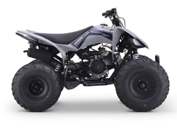 Квадроцикл SHARMAX Raizer Race Cup 250